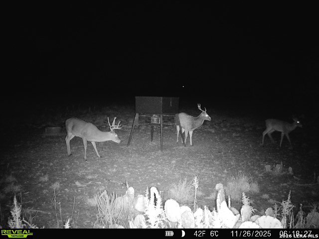 9259 Turkey Barn Lane Menard TX 76859