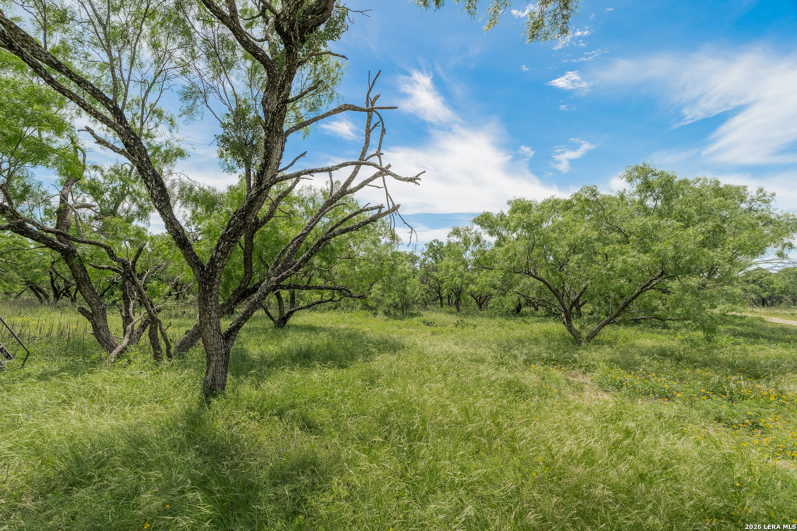 9259 Turkey Barn Lane Menard TX 76859
