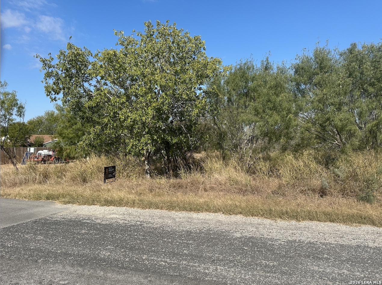 Tbd Olive Jourdanton TX 78026