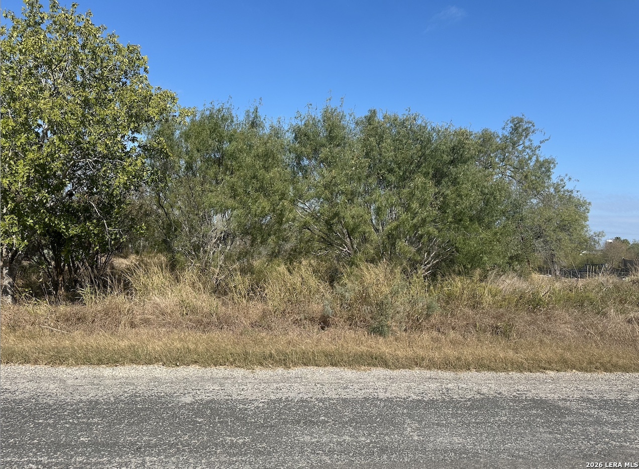 Tbd Olive Jourdanton TX 78026