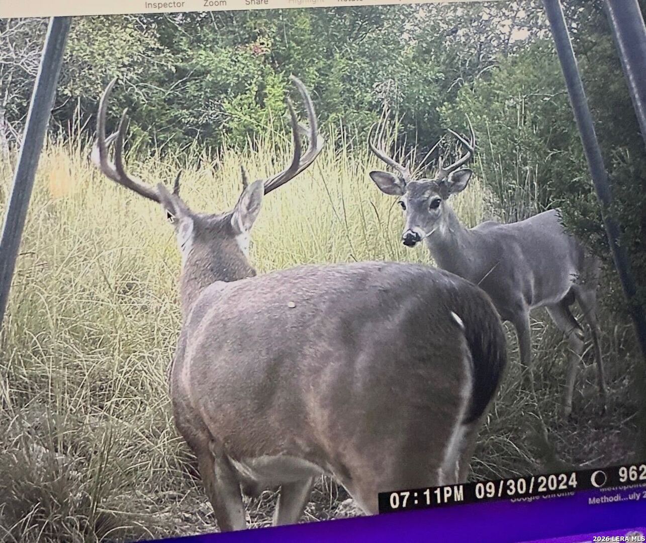 97 Coleman Springs Boerne TX 78006