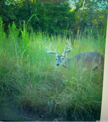97 Coleman Springs Boerne TX 78006