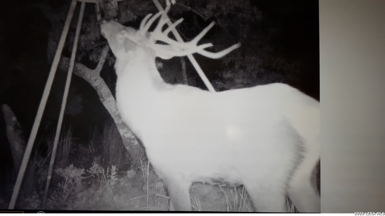 97 Coleman Springs Boerne TX 78006