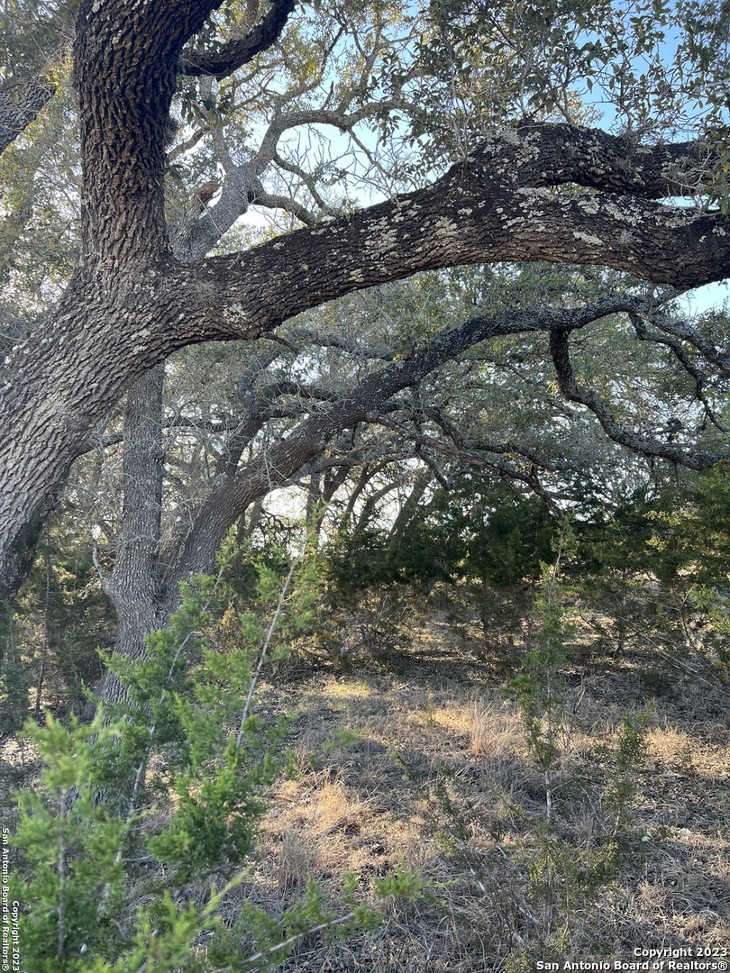 219 Highgate Drive Bandera TX 78003