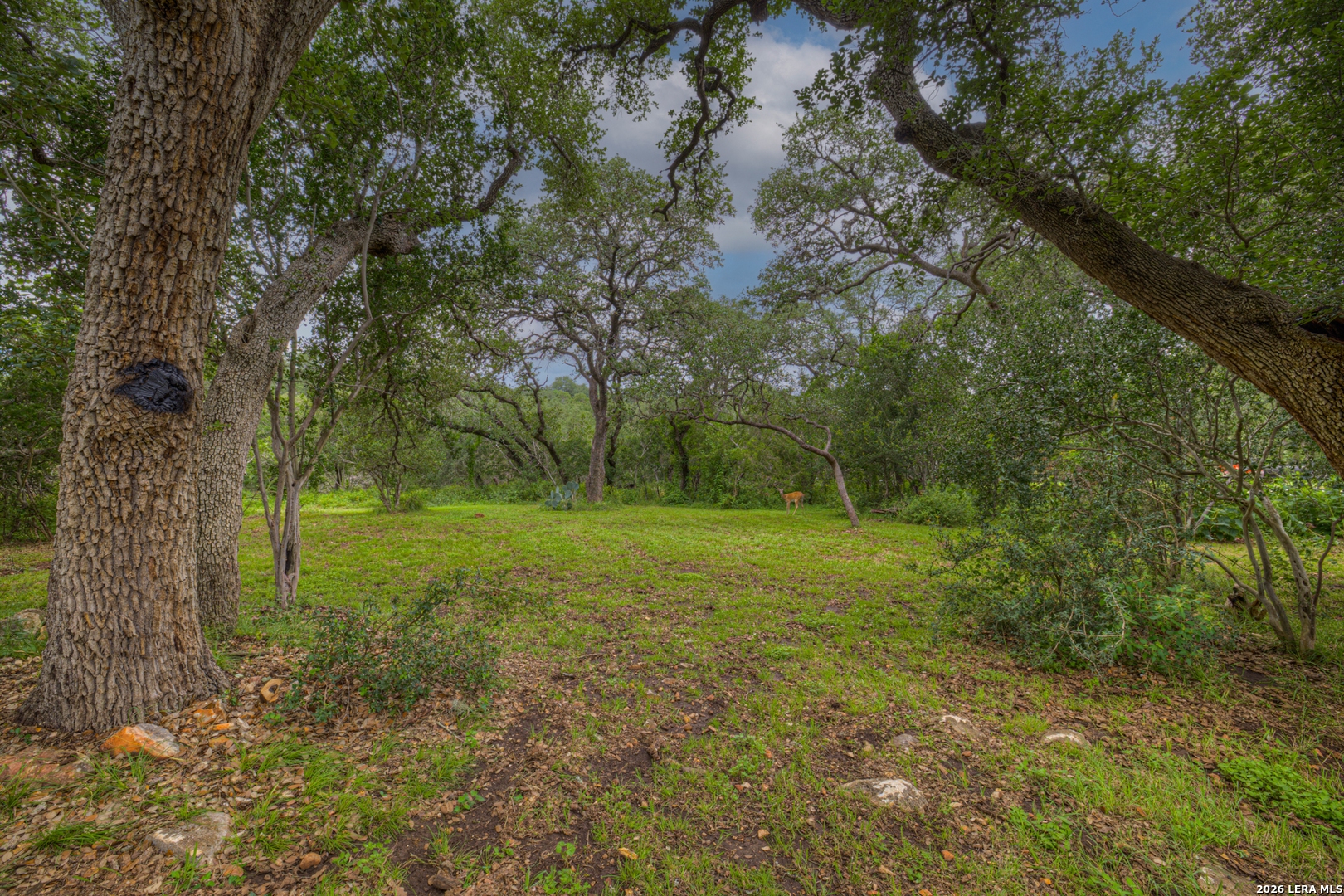 1937 Hunters Cove New Braunfels TX 78132
