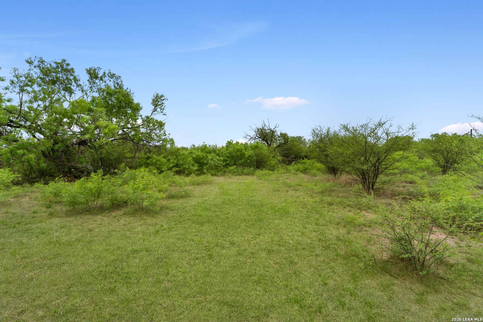 17272 Fm 463 Natalia TX 78059