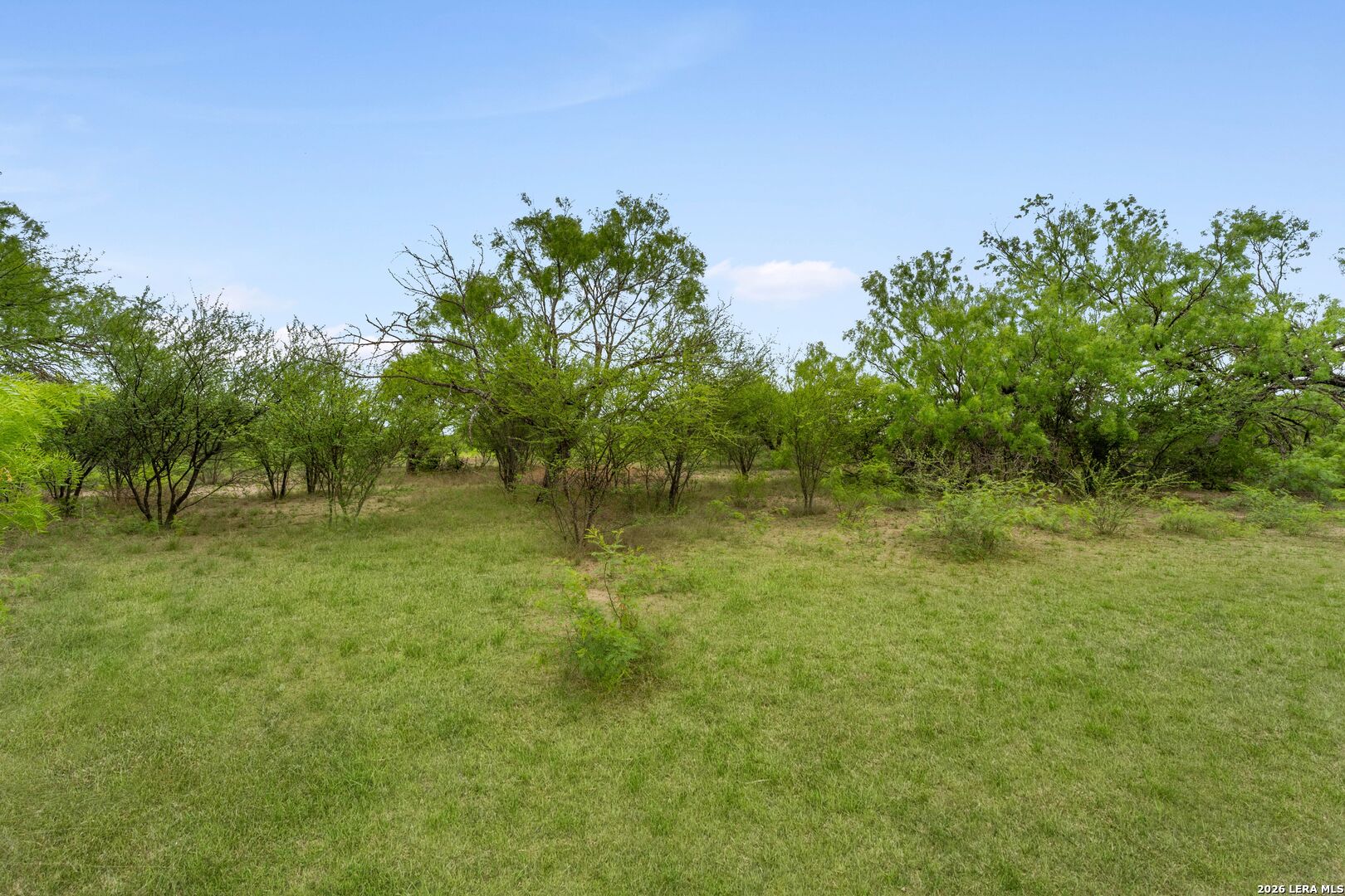 17272 Fm 463 Natalia TX 78059