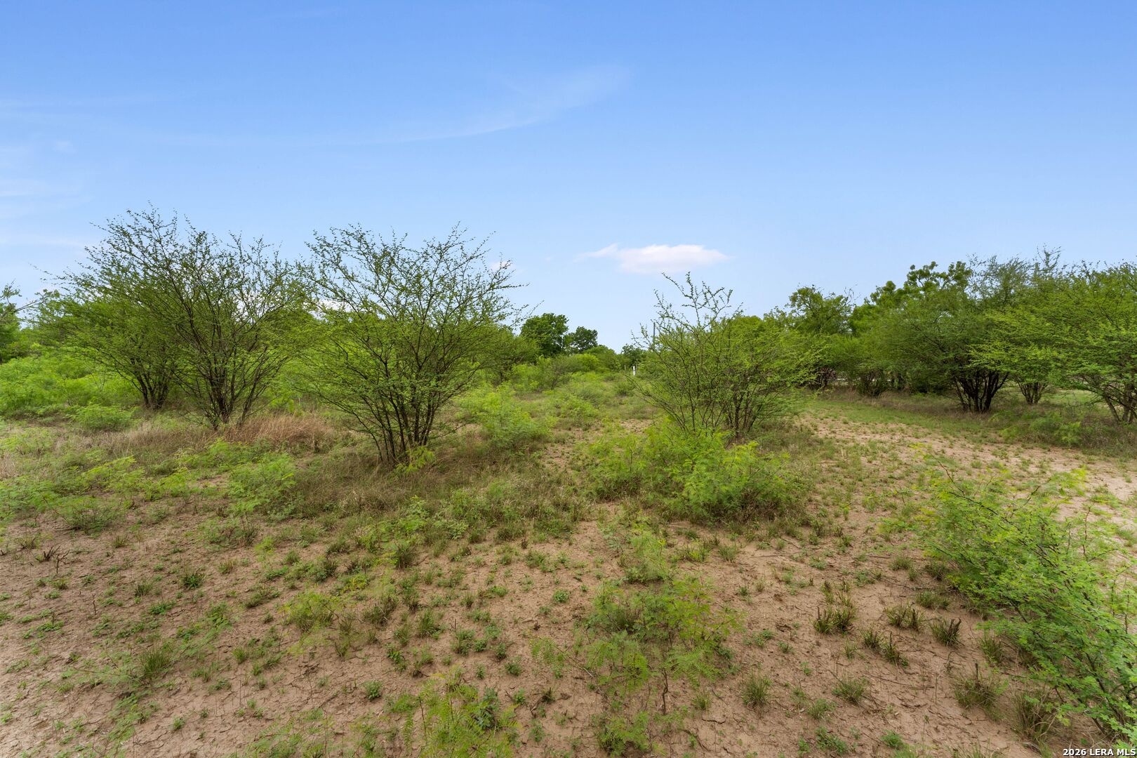 17272 Fm 463 Natalia TX 78059