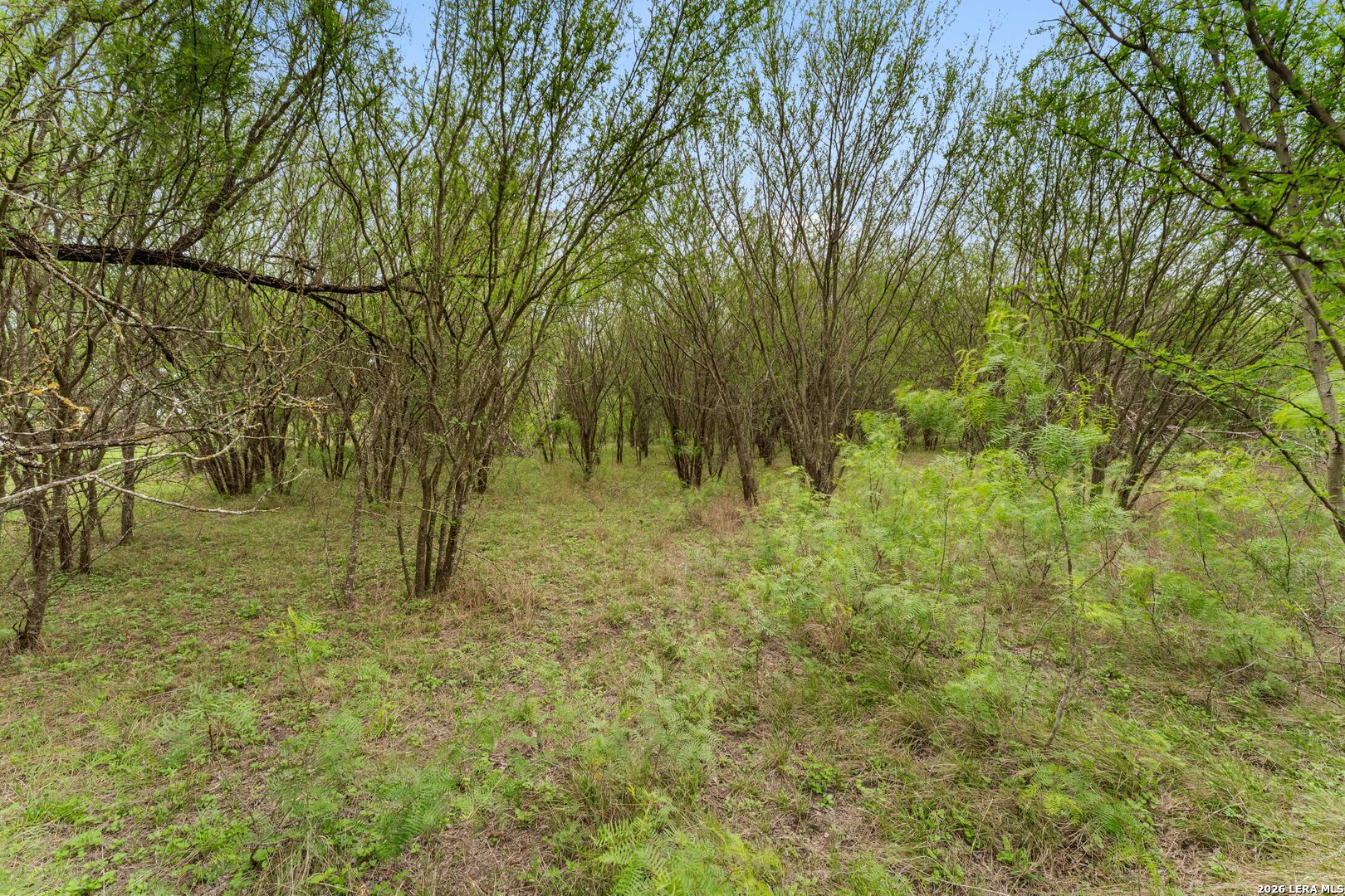17272 Fm 463 Natalia TX 78059
