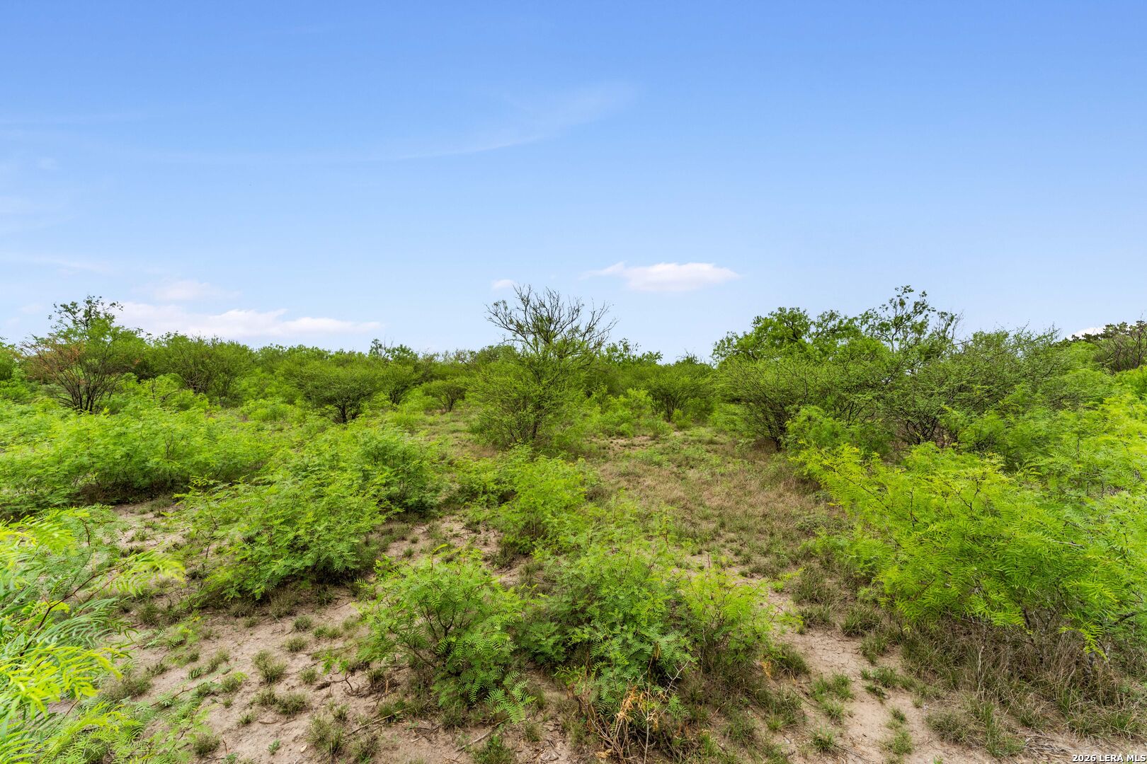 17272 Fm 463 Natalia TX 78059