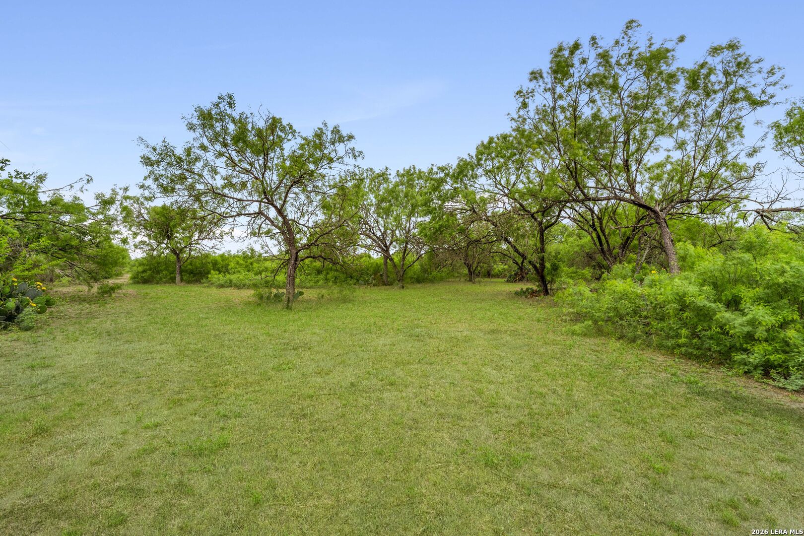 17272 Fm 463 Natalia TX 78059