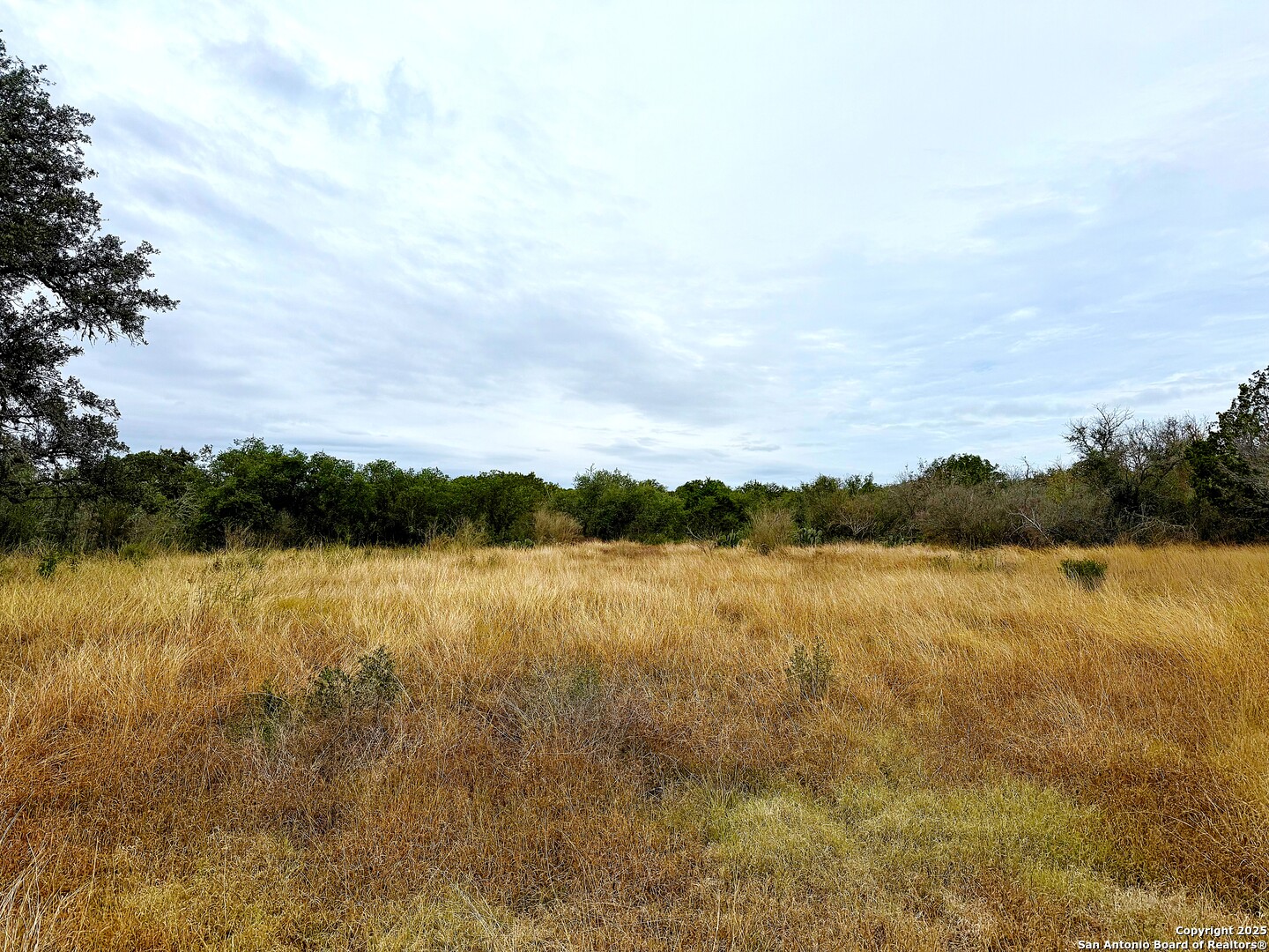 261 Grand Ranch Hondo TX 78861
