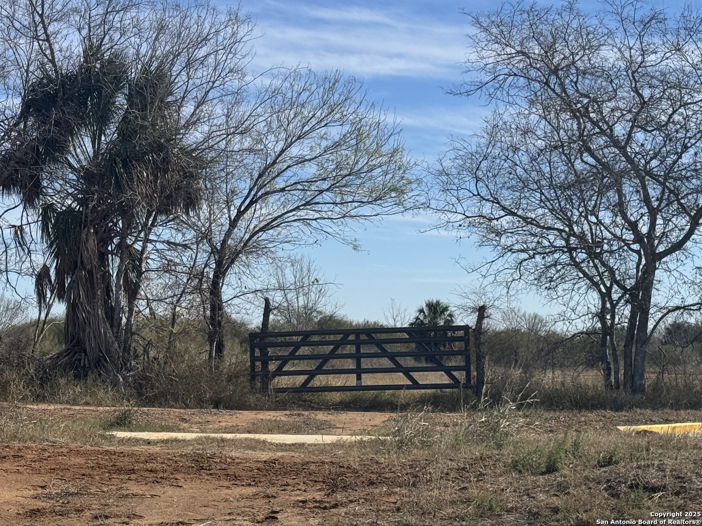 00 Wisdom Road Lot 17 Atascosa TX 78002