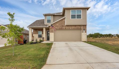 1912 Grey Wagtail New Braunfels TX 78130