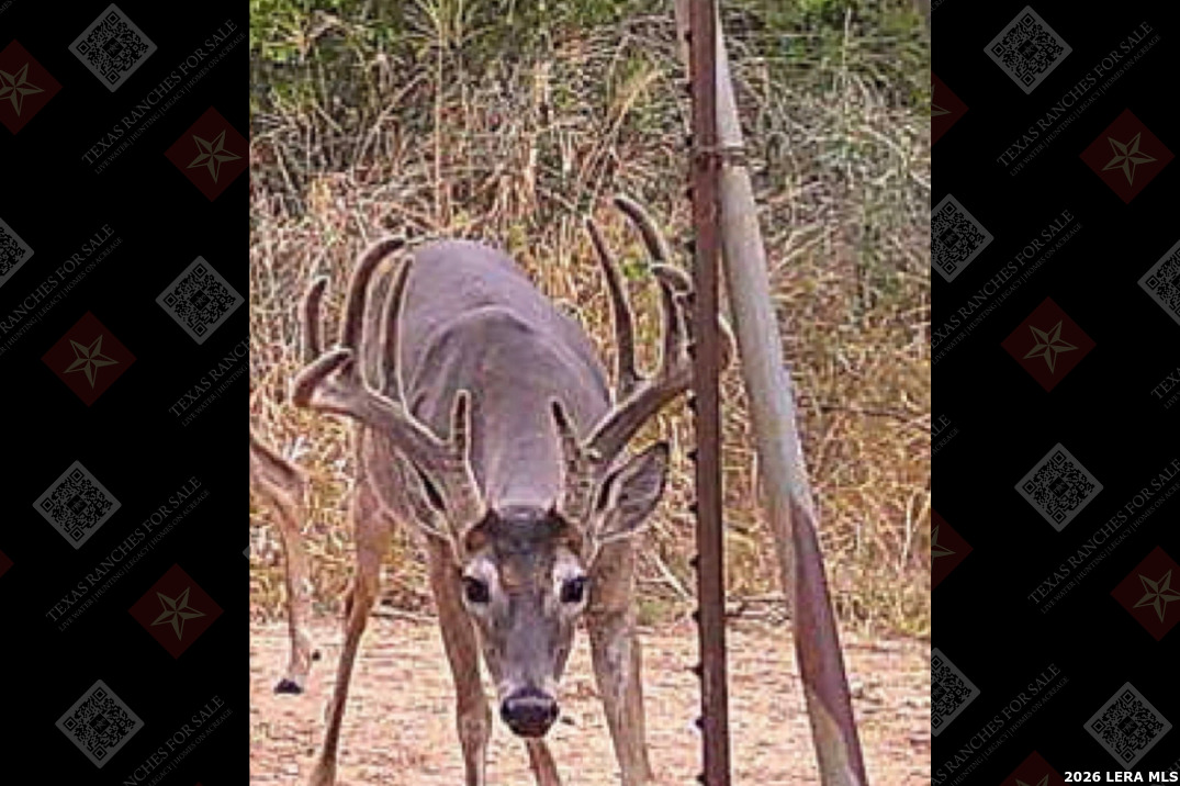 3355 Jim Brite Road Pleasanton TX 78064