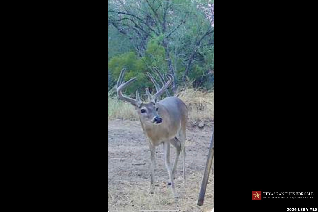 3355 Jim Brite Road Pleasanton TX 78064