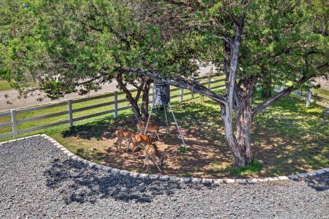 1215 Stagecoach Drive Canyon Lake TX 78133