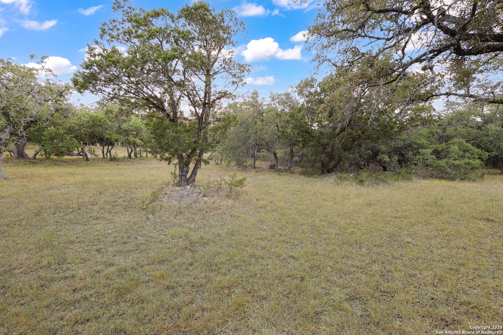 Lot 77 Okent San Antonio TX 78260