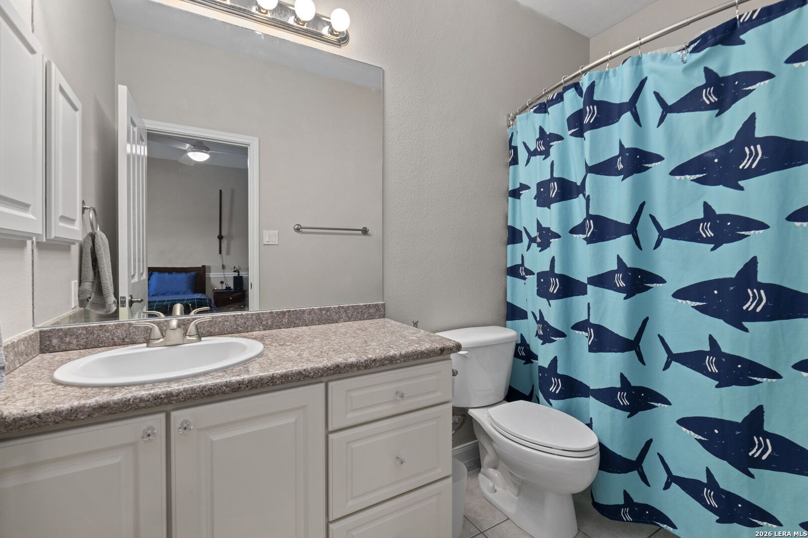 1007 Campanile San Antonio TX 78258