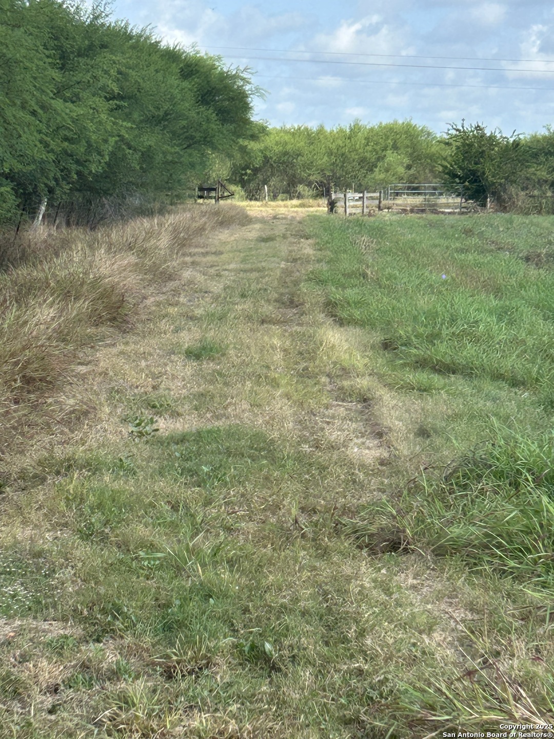 1242 Cologne Road Victoria TX 77905