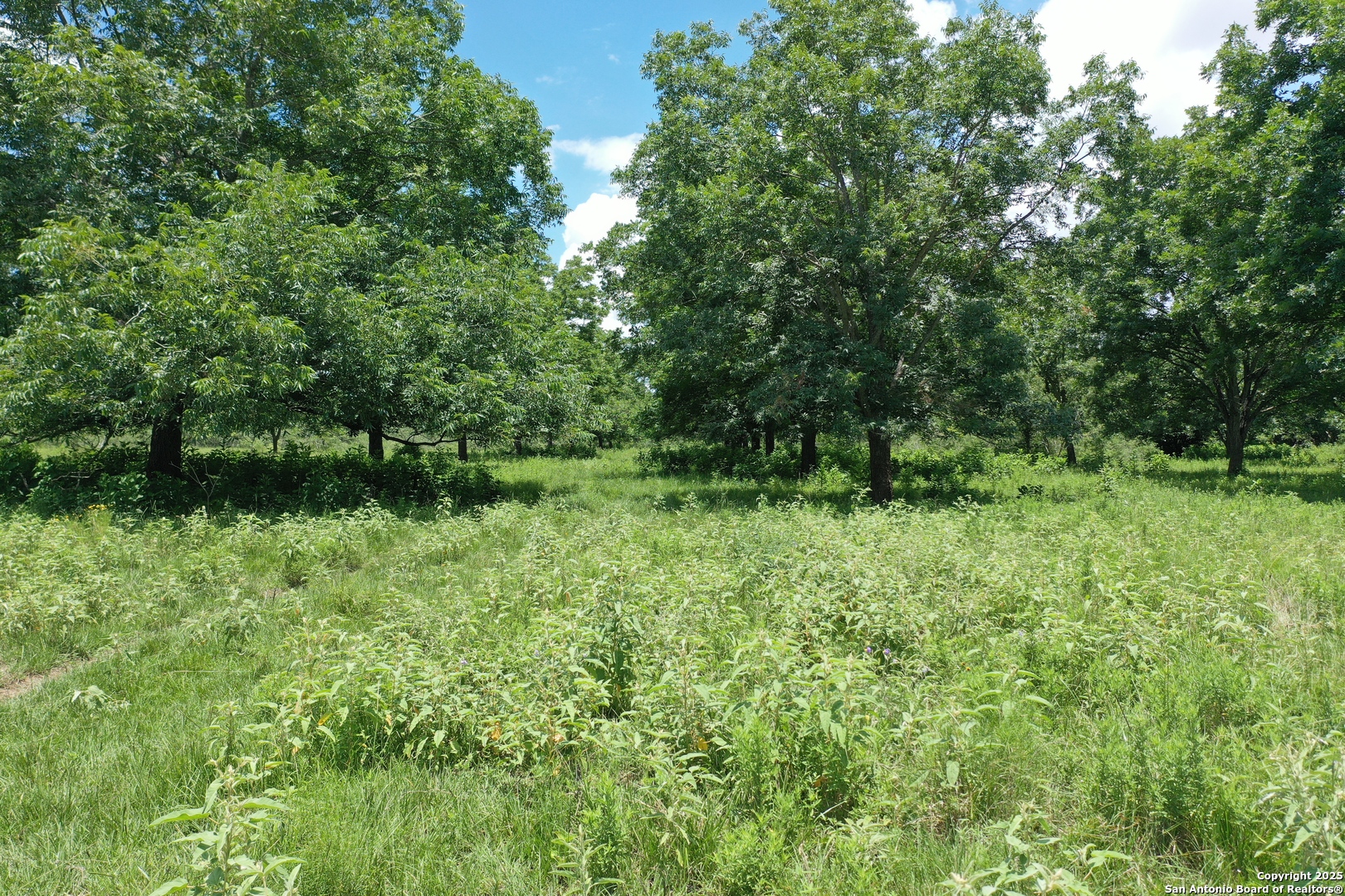 0 County Road 240 Waelder TX 78632