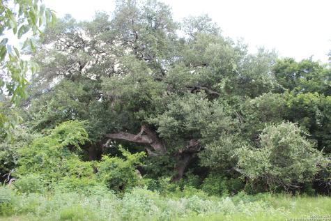 0 County Road 240 Waelder TX 78632