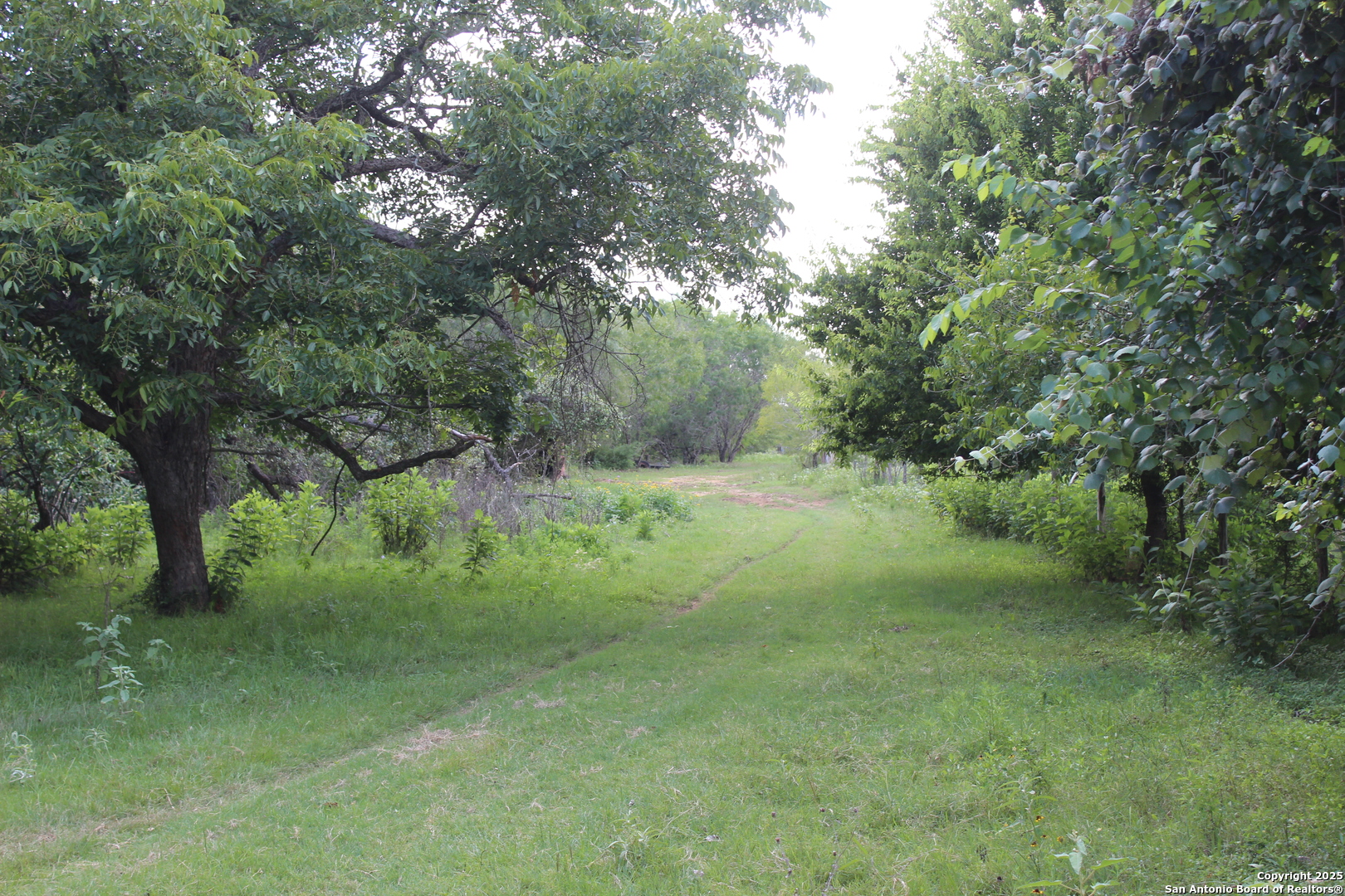 0 County Road 240 Waelder TX 78632