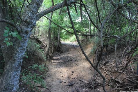 0 County Road 240 Waelder TX 78632