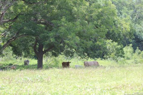 0 County Road 240 Waelder TX 78632
