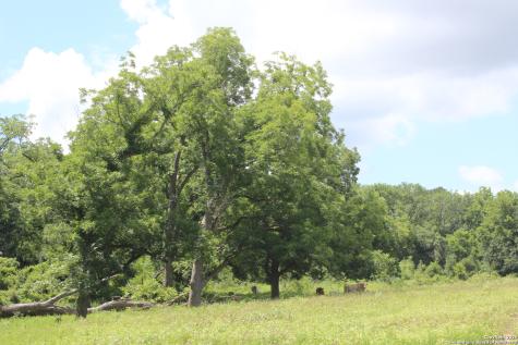 0 County Road 240 Waelder TX 78632