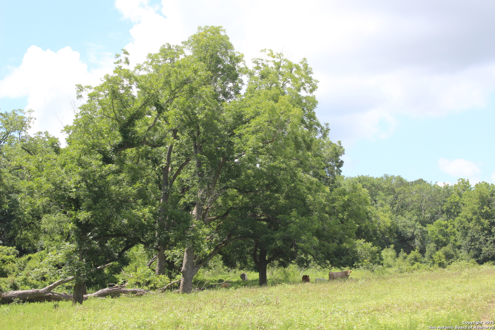 0 County Road 240 Waelder TX 78632