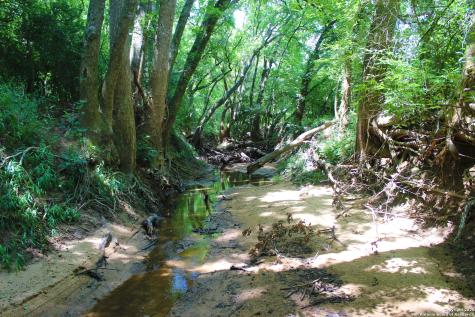 0 County Road 240 Waelder TX 78632