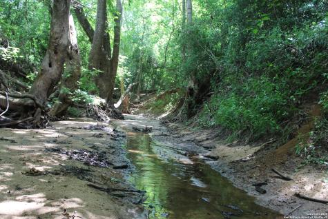 0 County Road 240 Waelder TX 78632