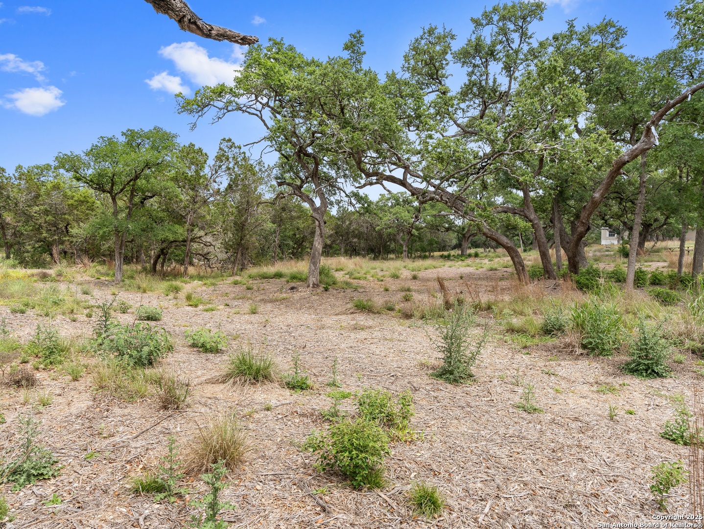 504 Oak Grove San Marcos TX 78666