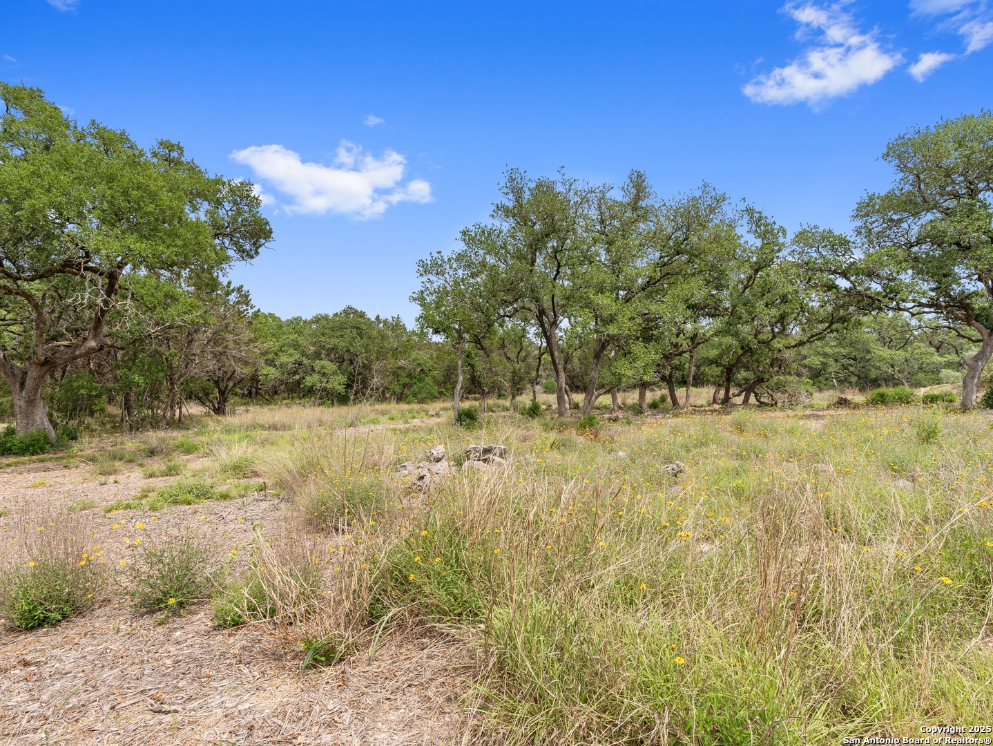 504 Oak Grove San Marcos TX 78666