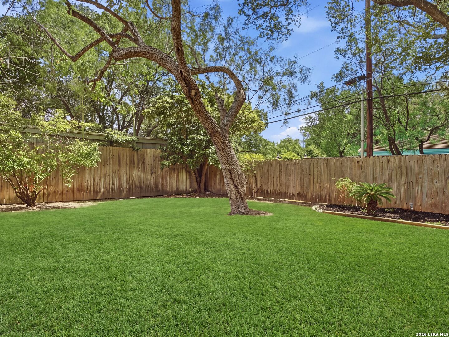 122 Laburnum Drive San Antonio TX 78209
