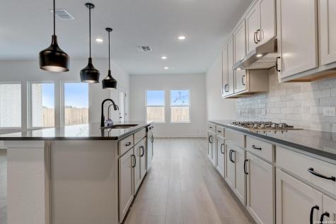 14231 Wolf View San Antonio TX 78252