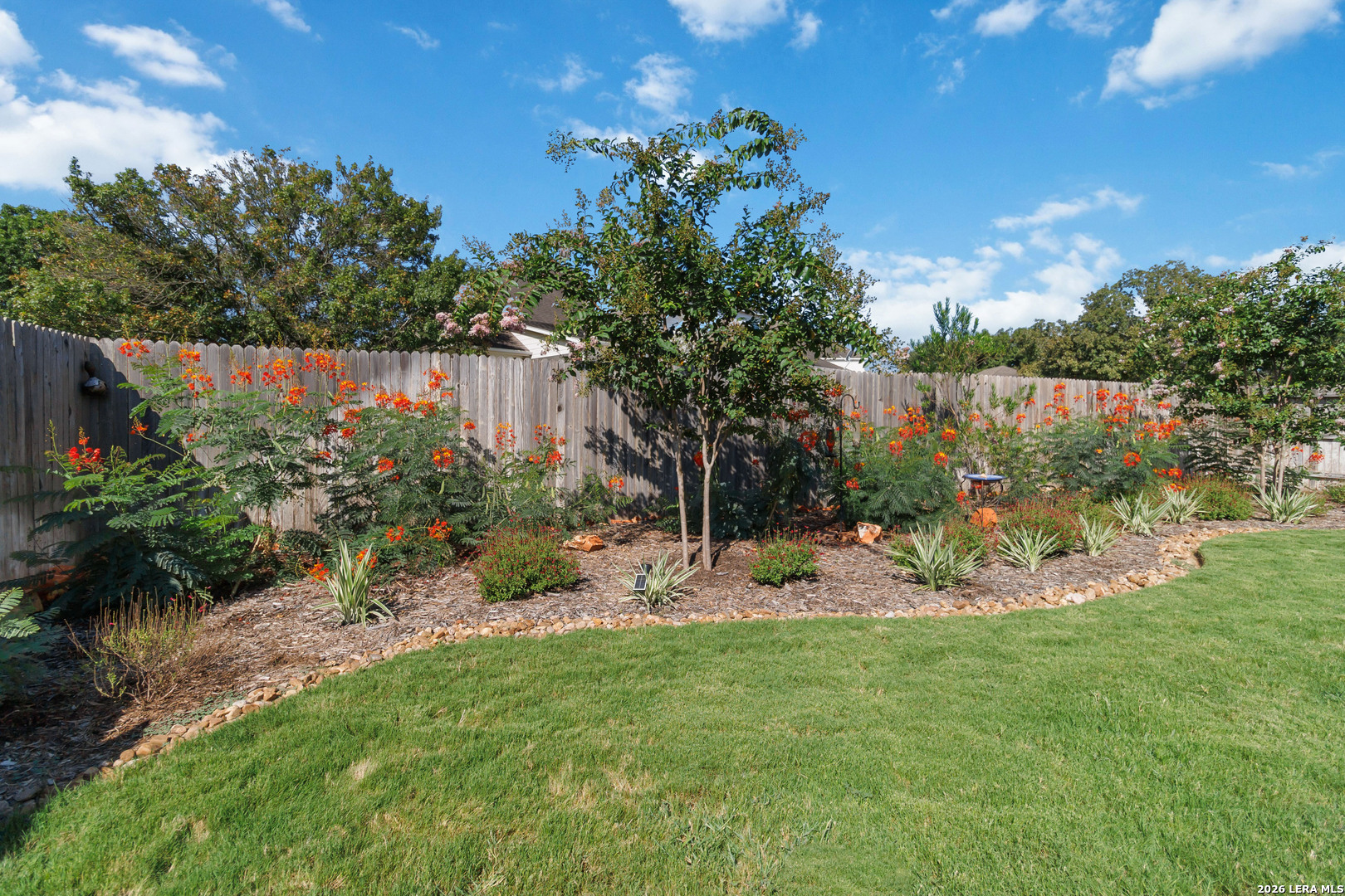 485 Rosemellow Street New Braunfels TX 78132