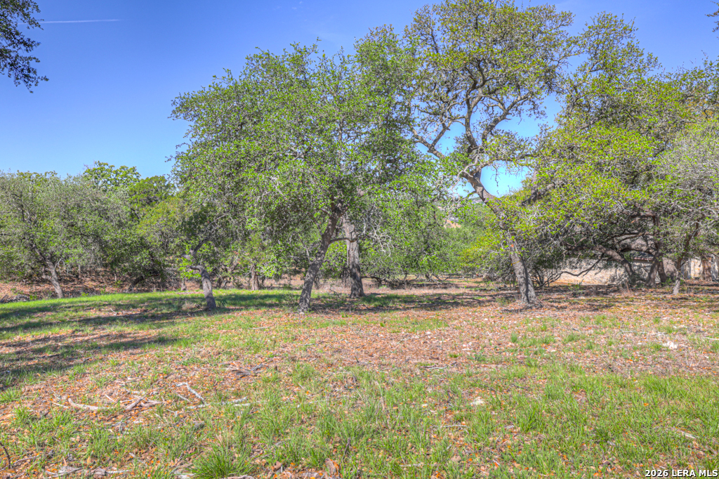 1215 Trailhead New Braunfels TX 78132