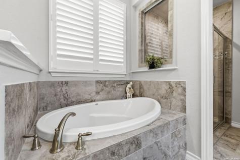 3094 Blenheim Park Bulverde TX 78163