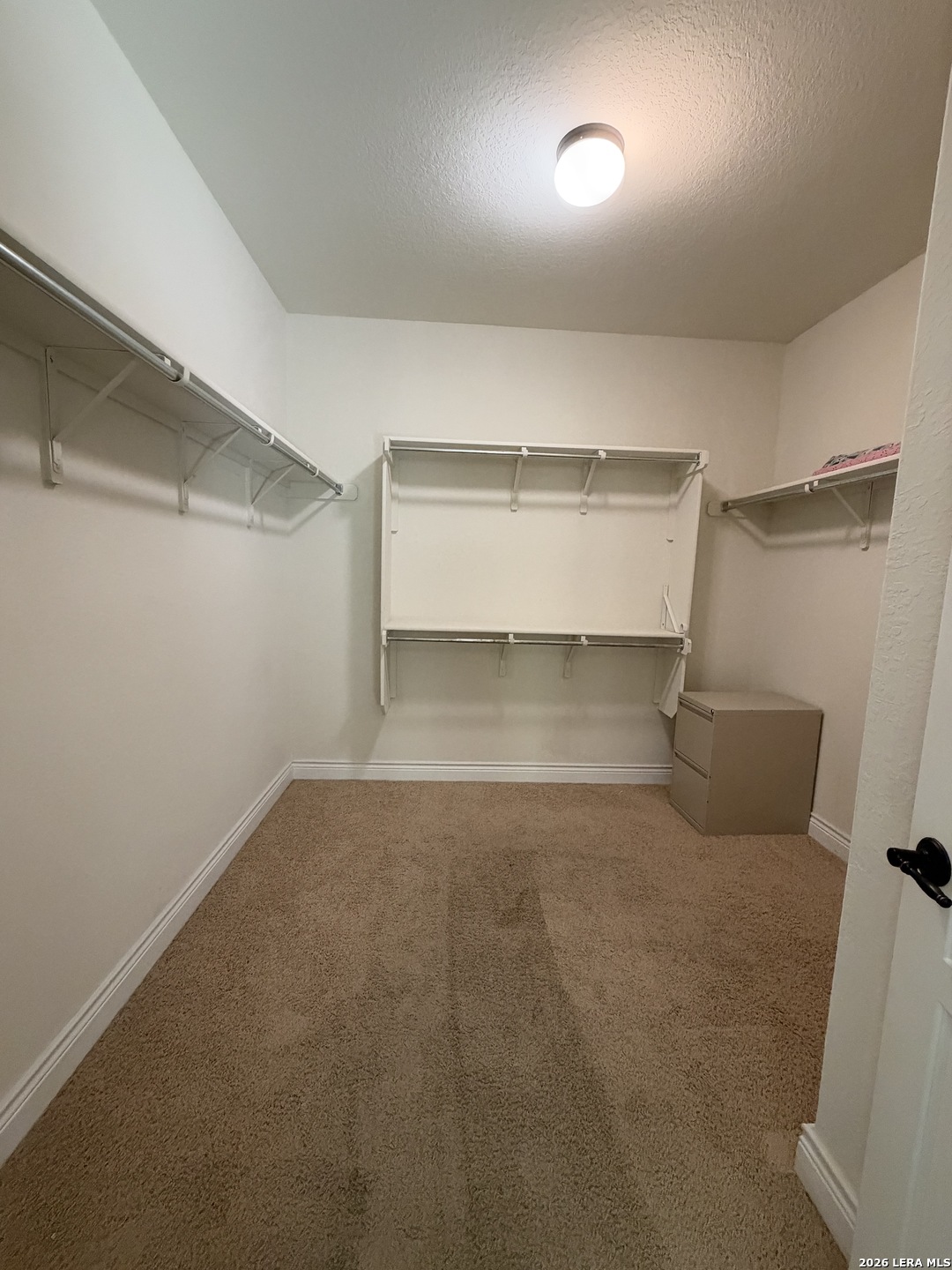 10819 Yaupon Holly Helotes TX 78023