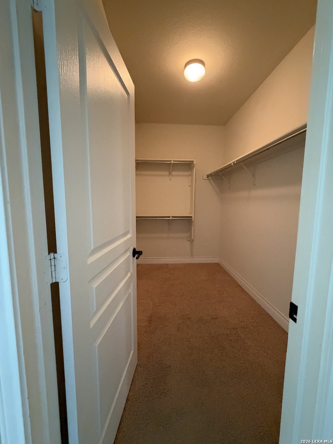 10819 Yaupon Holly Helotes TX 78023