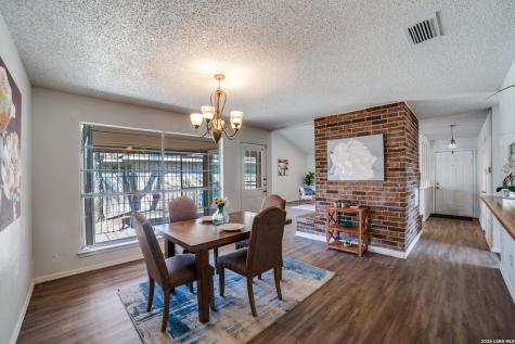 9502 Woodland Hills San Antonio TX 78250