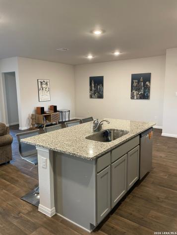 226 Evergreen Sumac Loop Kyle TX 78640