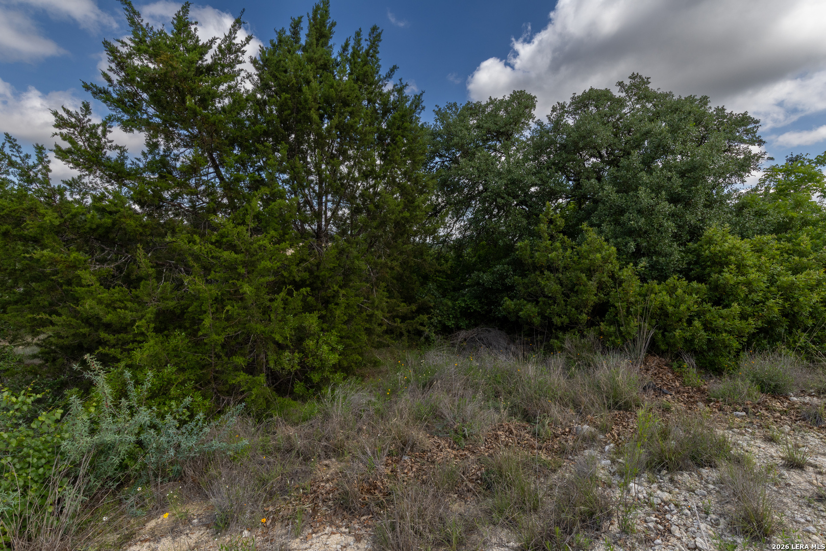 10835 Nina Ridge San Antonio TX 78255