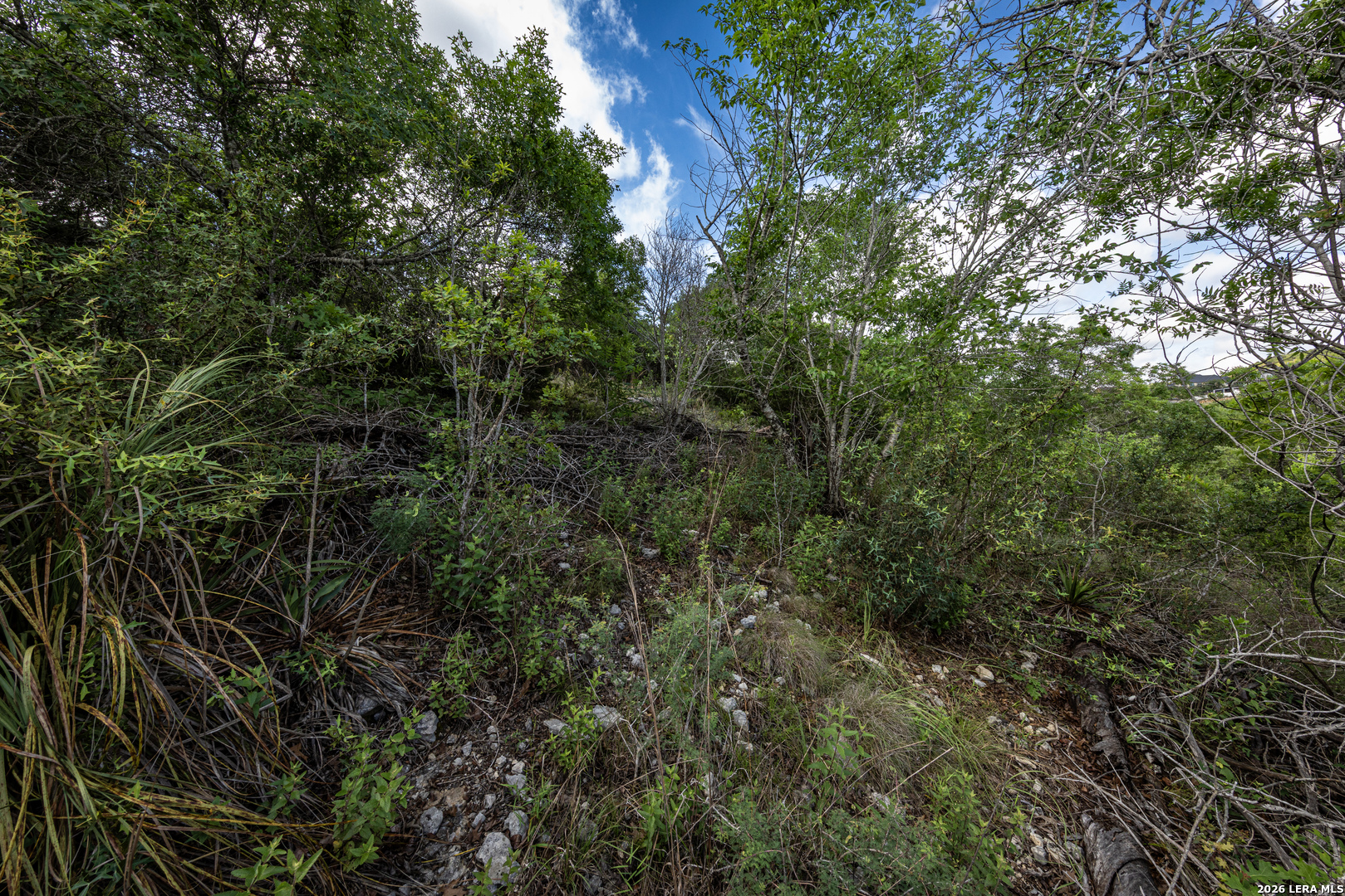 10835 Nina Ridge San Antonio TX 78255