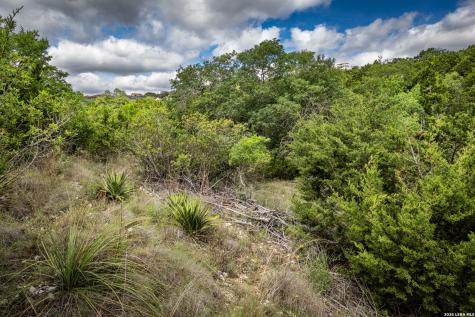 10835 Nina Ridge San Antonio TX 78255