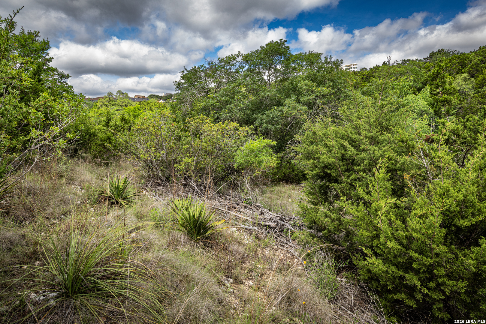 10835 Nina Ridge San Antonio TX 78255