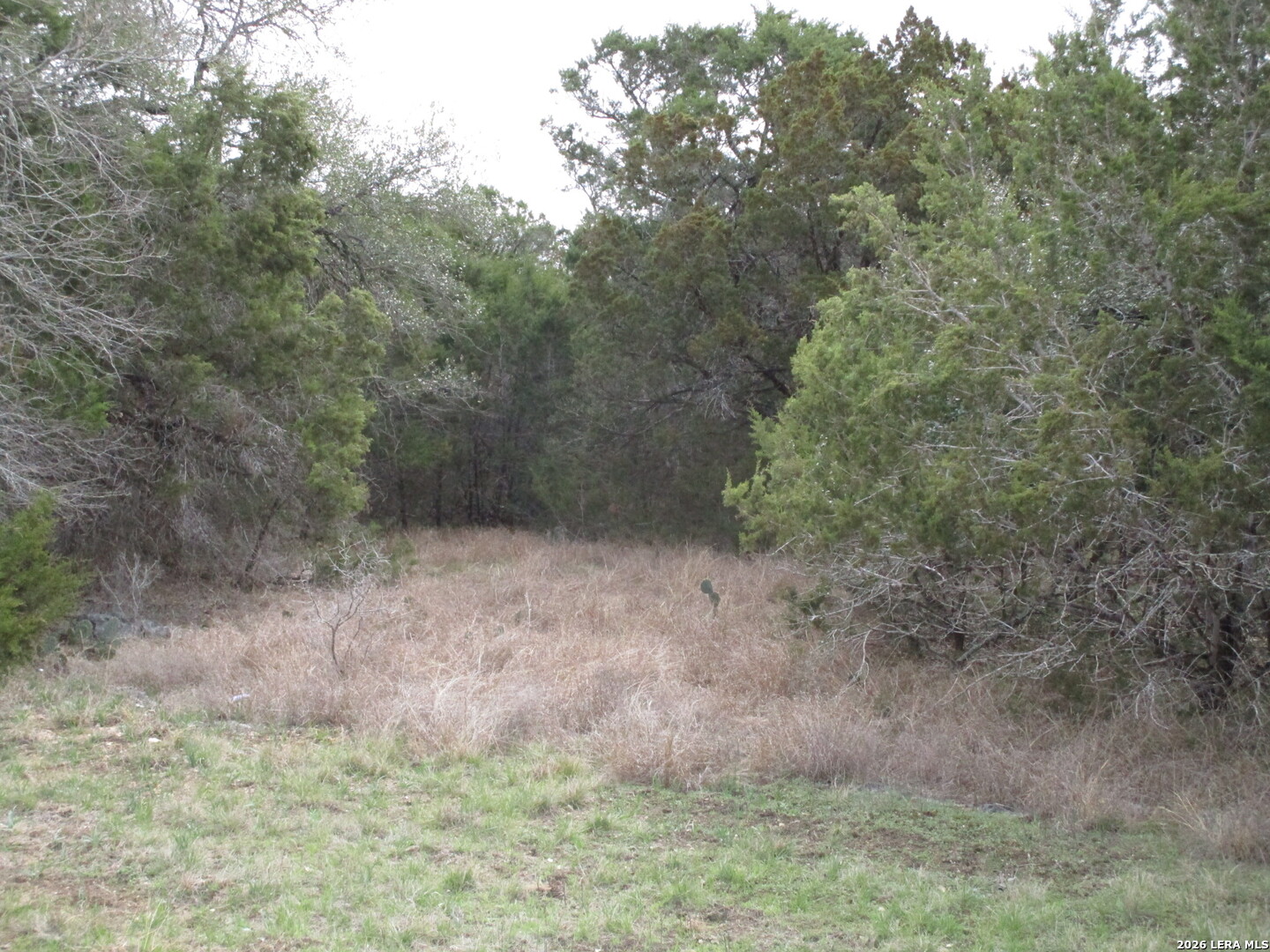 138 Bear Creek New Braunfels TX 78132