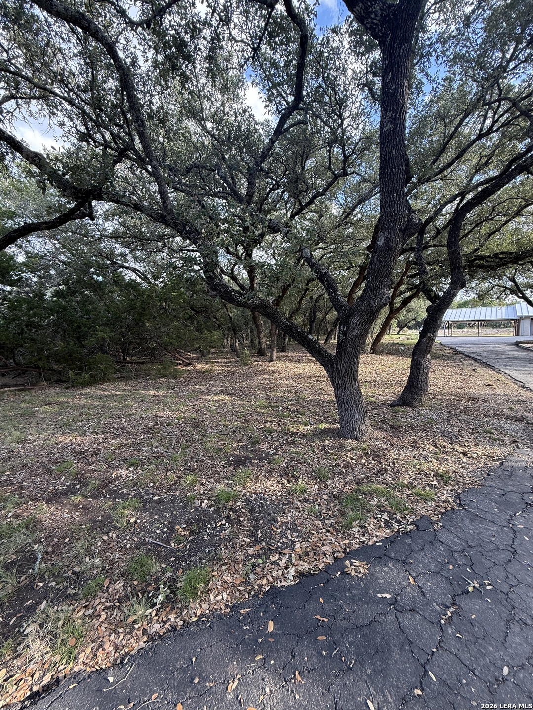 207 Tracie Trail Lakehills TX 78063